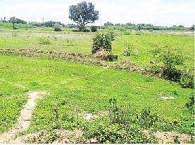 நடவு மானியம்: எதிர்பார்ப்பில் டெல்டா விவசாயிகள்..! நேரடி விதைப்புக்கு சாத்தியக்கூறு குறைவு