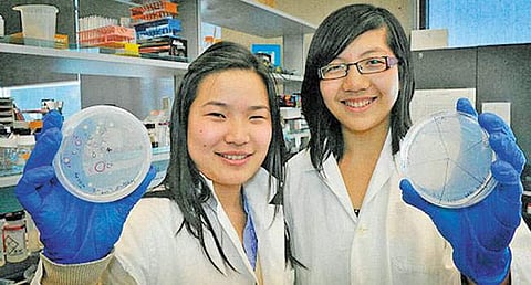 பிளாஸ்டிக்கைத் தண்ணீராக மாற்றும் காளான்..!