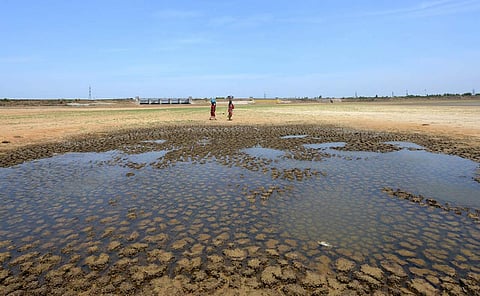 செம்பாம்பாக்கம் ஏரி