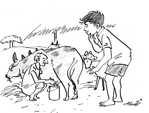 கிராமத்தின் அழகு