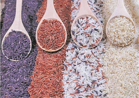 அரிசியின் பயன்கள்!