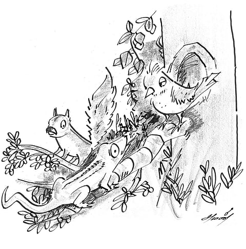 தேன்சிட்டு