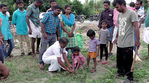 காசிபாளையம் பகுதியில் பனை விதையை நடும் சிறுமி