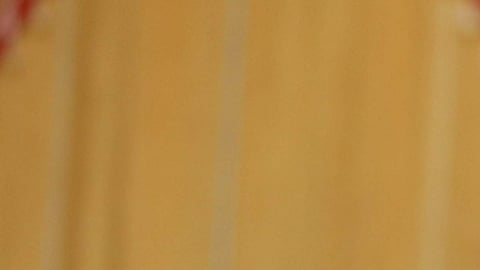 நாம் தமிழர் கட்சியின் தலைமை ஒருங்கிணைப்பாளர் சீமான்