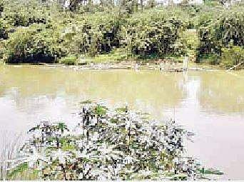 அத்திக்கடை - அதங்குடியை இணைக்கும் வகையில் வெண்ணாற்றின் குறுக்கே இணைப்புப் பாலம் அமைக்கப்படுமா? பொதுமக்கள் எதிர்பார்ப்பு