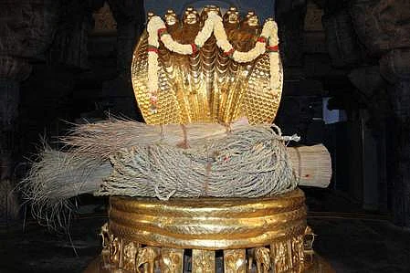 தா்ப்பைப் புற்கள் பாய் மற்றும் கயிறு.
