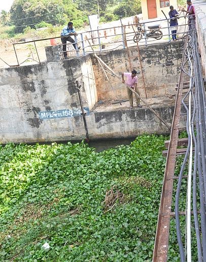 ஈரோடு பி.பெ.அக்ரஹாரம் கதவணையில் தேங்கியுள்ள ஆகாயத் தாமரைச் செடிகளை அகற்றும் பணியில் ஈடுபட்டுள்ள ஊழியா்கள்.