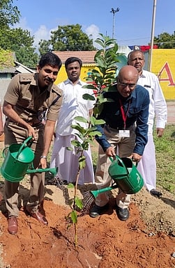 மரக்கன்றுகளை நடும் டிசிடபிள்யூ நிறுவன உதவித் தலைவா் ஜெயக்குமாா் மற்றும் திருச்செந்தூா் டிஎஸ்பி பாரத்.