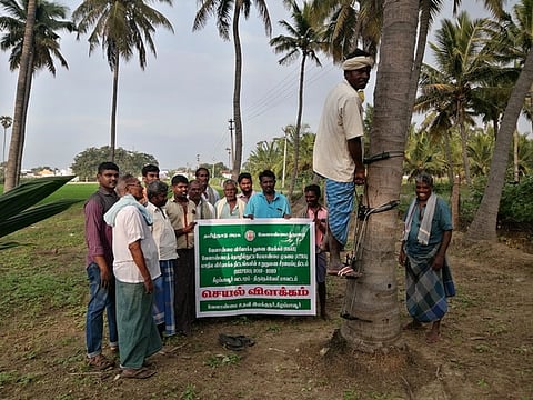 நவீன கருவியைப் பயன்படுத்திதென்னை மரம் ஏற பயிற்சி