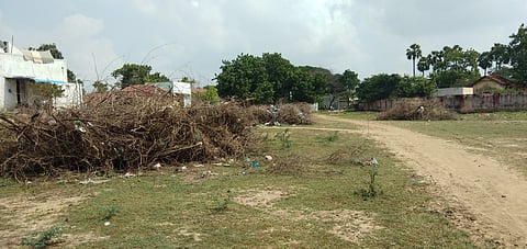 திருவாடானை அரசு ஆண்கள் மேல்நிலைப்பள்ளி விளையாட்டு மைதானத்தில் குவித்து வைக்கப்பட்டுள்ள முள் செடிகள்.