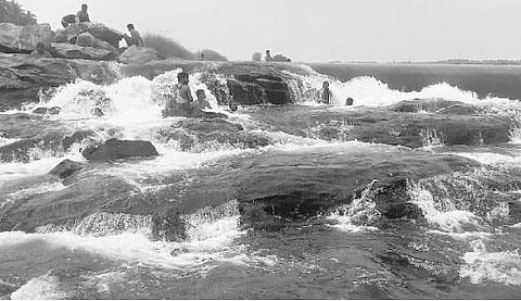 10 ஆண்டுகளாகக் கிடப்பில் போடப்பட்டுள்ள காரணாம்பாளையம் சுற்றுலாத் தலம் திட்டம்