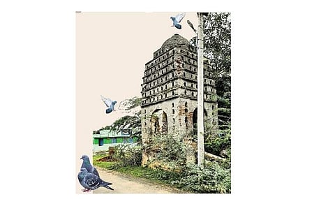 புதுக்கோட்டை மாவட்டம், சேந்தமங்கலம் கிராமத்திலுள்ள புறாக்கள் சரணாலயம்.