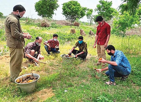 சேவையே தவமாக...