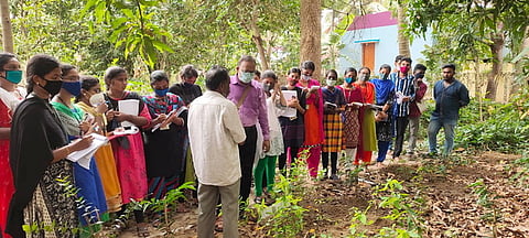 மூலிகை பயிா் சாகுபடி குறித்த களப் பயிற்சியில் ஈடுபடும் வேளாண் கல்லூரி மாணவ மாணவிகள்.