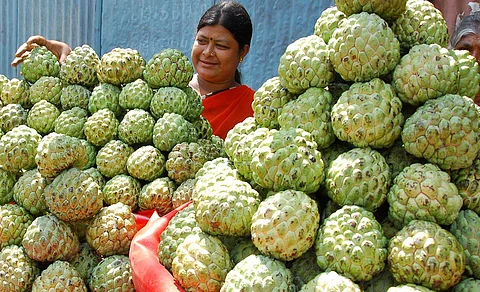கோப்புப்படம்
