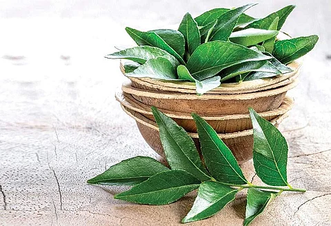 கறிவேப்பிலையின்  மருத்துவ குணங்கள்..