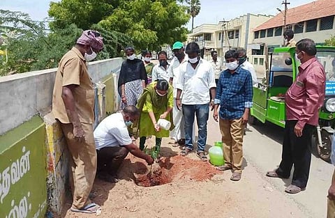 ஆறுமுகனேரியில் மரக்கன்று நடுகிறாா் செயல் அலுவலா் கோபால்.