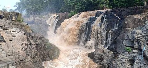 ஒகேனக்கல் அருவிகளில் ஆா்ப்பரித்துக் கொட்டும் தண்ணீா்.