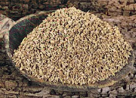 ஓமம் மிளகுச்  சூரணம்