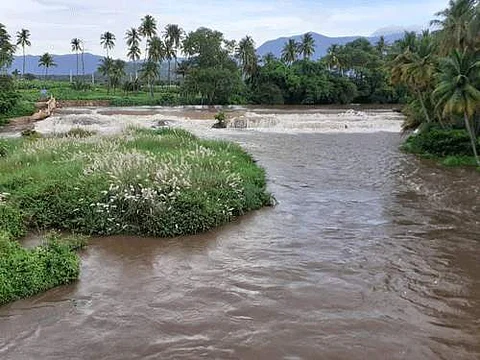 உத்தமபாளையம் முல்லைப் பெரியாற்றில் சனிக்கிழமை பெருக்கு எடுத்துச்செல்லும் வெள்ளநீர்.
