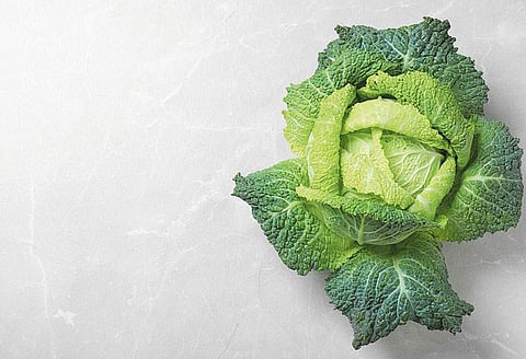 முட்டை கோஸ் பயன்கள்!