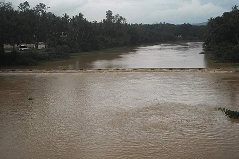 தாமிரவருணி ஆறு
