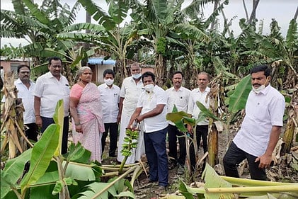 மலைக் கிராமங்களில் புயலால் வாழைகள் சேதம்