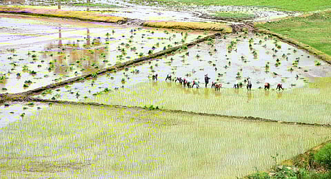 கோப்புப்படம்