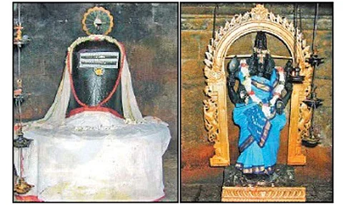 வம்சம் வளர்க்கும் விருட்ச வழிபாடு