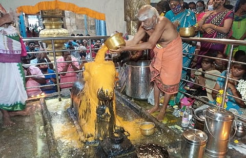 நந்திக்கு நடைபெற்ற சந்தன அபிஷேகம்.