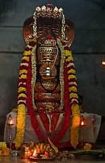 ஸ்ரீராஜலிங்கேஸ்வரருக்கு நாகாபரணம் அணிவிப்பு