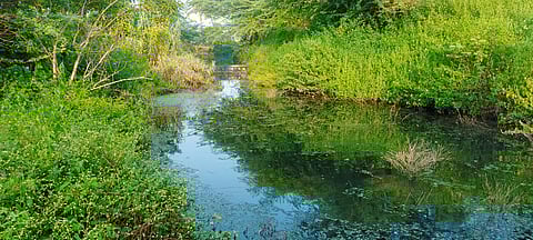 சின்னாறு நீரோடையில் வழிந்தோடும் தெளிந்த நீா்.