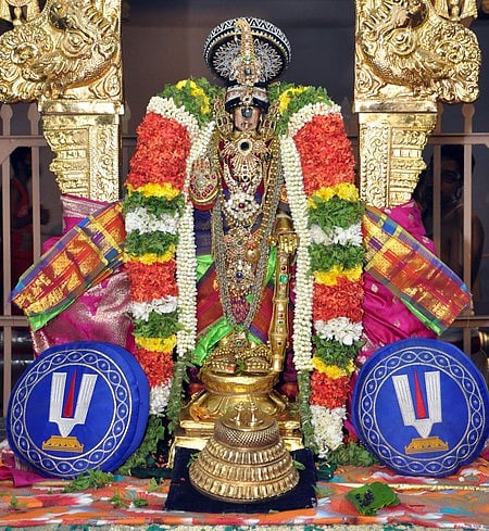 ரத்தின அபயஹஸ்தம், நெற்றியில் கலிங்கத் தோளா, முத்துச்சரம், அண்ட பேரண்டப் பட்சி, ரத்தின பாதம், முத்துக் கிரீட அலங்காரத்தில் எழுந்தருளிய நம்பெருமாள்.