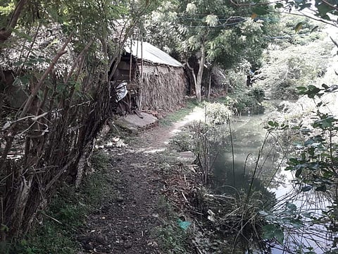 தினமணி இணையதள செய்தி எதிரொலி: கூத்தாநல்லூரில் நில வரித் திட்டத்திற்கு வட்டாட்சியர் நியமனம் 