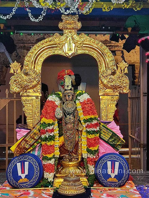 ஸ்ரீநம்பெருமாள் கிருஷ்ணர் செளரி  கொண்டை, வைர அபயஹஸ்தம், மார்பில் மஹாலட்சுமி பதக்கம், முத்துச்சரம், பவள மாலை, அவுரிசரம் அலங்காரத்தில் எழுந்தருளி பக்தர்களுக்கு காட்சியளித்தார். 
