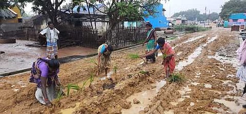 செட்டித்திருக்கோணம் கிராமத்தில் சேறும் சகதியுமான தெருவில் நாற்று நடும் கிராம மக்கள்.