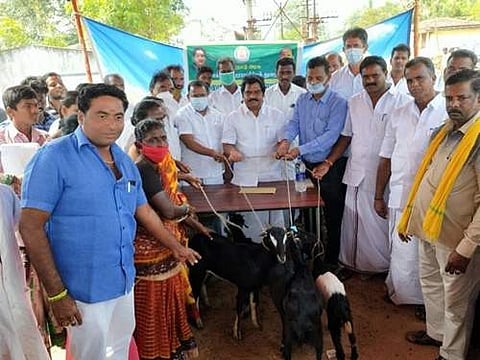 கும்மிடிப்பூண்டி அடுத்த மங்களம் ஊராட்சியில் ரூ.12.87 லட்சம்  மதிப்பீட்டில் 101 பயனாளிகளுக்கு விலையில்லா ஆடுகள் வழங்கப்பட்டது.