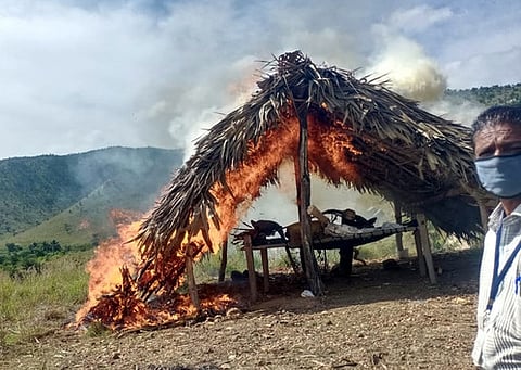மேல்குப்பம் தரைக்காடு பகுதியில் கள்ளச் சாராயம் பதுக்கி வைக்கப்பட்டதால் வனத்துறையால் தீயிட்டு எரிக்கப்பட்ட கொட்டகை.