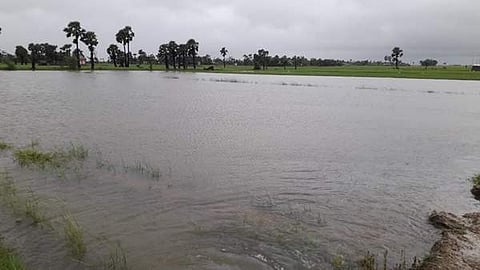 புரெவி புயலால் வேதாரண்யம் பகுதியில் ஏற்பட்ட பாதிப்பு
