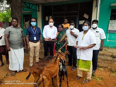 மகளிருக்கு விலையில்லா ஆடுகளை வழங்குகிறாா் சீனிவாசன் சேவை அறக்கட்டளை கள இயக்குநா் அ.விஜயகுமாா்.