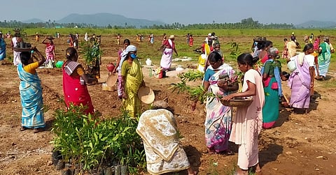 சோமம்பட்டியில் நடைபெற்ற மரக் கன்றுகள் நடும் விழா.