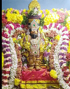 27 நட்சத்திரக் கோயிலில் சிறப்பு அலங்காரத்தில் காட்சியளித்த சனி பகவான்.