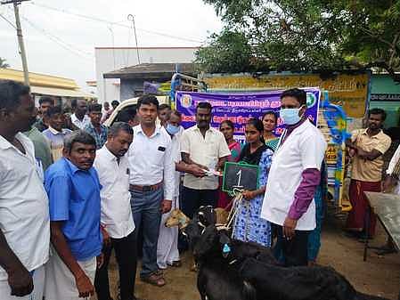 பயனாளிக்கு விலையில்லா ஆடுகளை வழங்குகிறாா் சிறுநாவலூா் ஊராட்சித் தலைவா் சுப்பிரமணியன்.