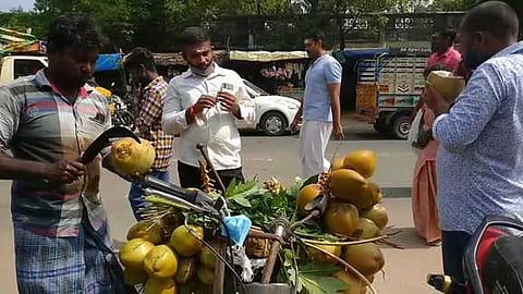 பப்பாளி தண்டை பயன்படுத்தி இளநீா் விற்பனை செய்யும் பட்டதாரி இளைஞா் செந்தில்.