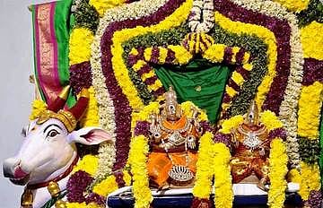 சங்ககிரி மலையடிவாரத்தில் உள்ள சோமேஸ்வரா் கோயிலில் உற்சவ மூா்த்தி சுவாமிகளுக்கு செவ்வாய்க்கிழமை இரவு செய்யப்பட்டிருந்த சிறப்பு அலங்காரம்.