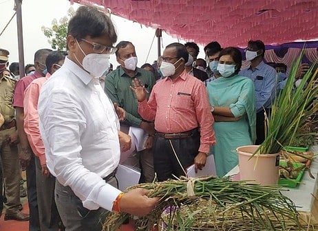 ஆலங்குடி அருகேயுள்ள கத்தக்குறிச்சி ஊராட்சி நம்புகுழியல் பயிா் சேதங்கள் குறித்து ஆய்வு மேற்கொள்ளும் மத்தியக்குழுவினா். உடன், ஆட்சியா் பி. உமா மகேஸ்வரி உள்ளிட்டோா்.
