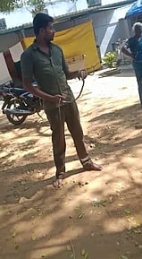 கொம்பேரி  நாகப்பாம்பை  பிடித்த  ஜெகதீசன்.