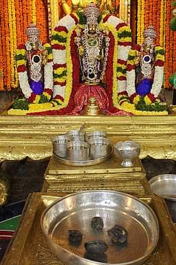 திருமலையில் விஷ்ணு சாளக்கிராம பூஜை