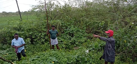 கூத்தாநல்லூர் : கருவேல மரங்களை அழித்து மின் இணைப்பு வழங்க உதவிய 3 கிராம மக்கள்