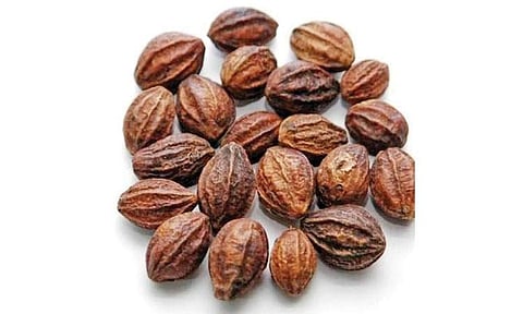 ஆயுள் காக்கும் ஆயுர்வேதம்: கடுக்காயின் மருத்துவ குணங்கள்!